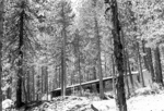 UNFICYP Troodos