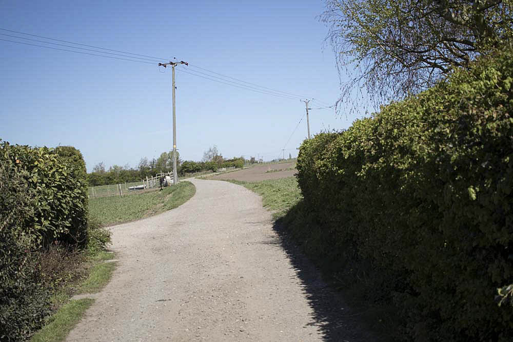 Turn left at the end of the hedge, then cross the field to the Horse Sanctuary paddock