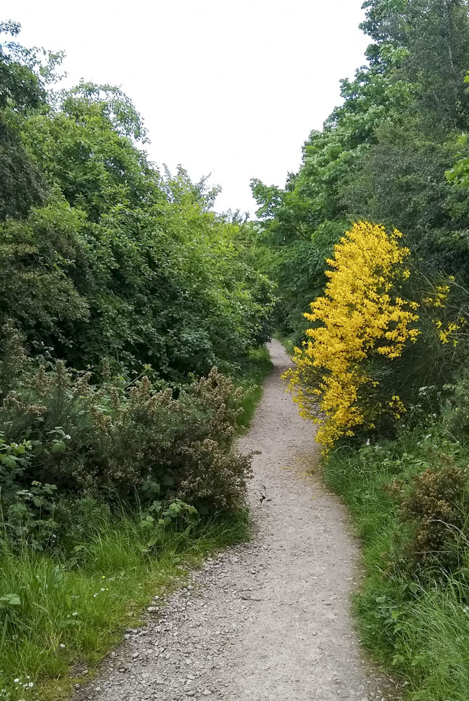 The track back to the start point